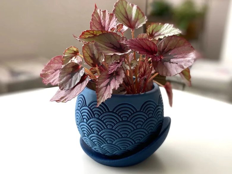 Vaso Decorativo Balord